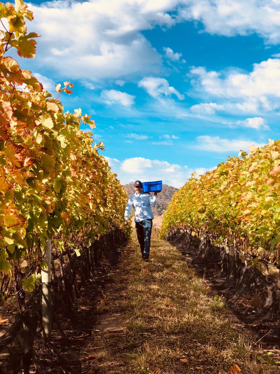 PHOTO-2024-07-10-21-01-30 (1).jpg